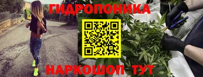 соль ск Ликино-Дулёво