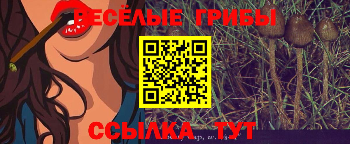 Псилоцибиновые грибы MAGIC MUSHROOMS  Вход с VPN  Верхняя Пышма 