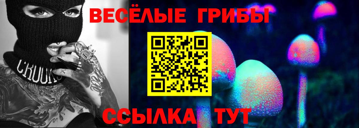 Псилоцибиновые грибы Magic Shrooms Верхняя Пышма